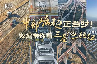 亚历山德里尼：伊布是我共事过的最佳球员 他有个性但也是个好人